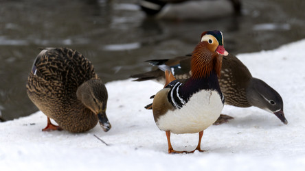 Similar image 21972305