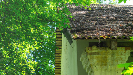 Similar image 21972307