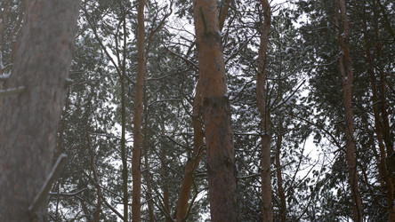 Similar image 21972359