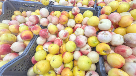 Similar image 21972374