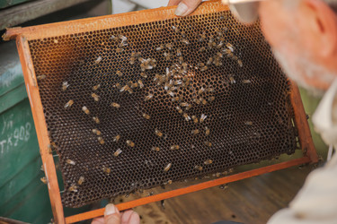 Similar image 21966057