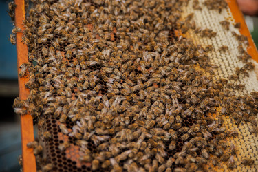 Similar image 21966058