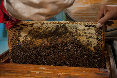 Similar image 21966059