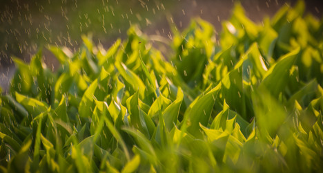 Similar image 21966060