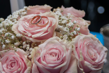 Similar image 21966064