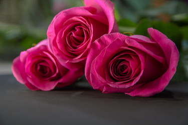 Similar image 21966065