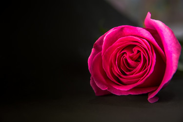 Similar image 21966066