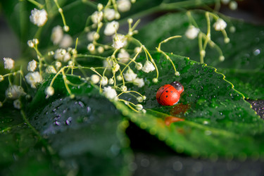 Similar image 21966068