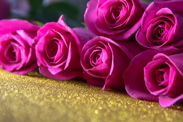 Similar image 21966072