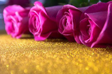 Similar image 21966073