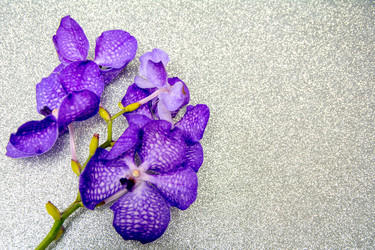 Similar image 21966075