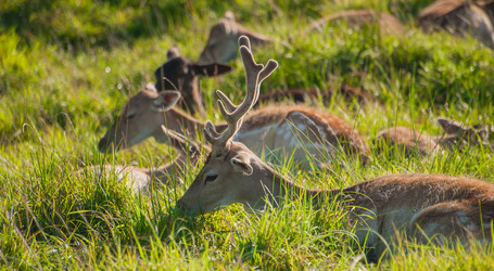 Similar image 21966076