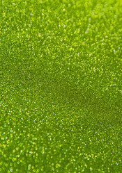 Similar image 21966083