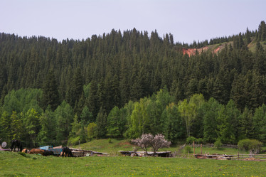 Similar image 21966089