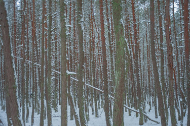 Similar image 21966090