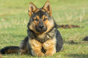 Similar image 21966094