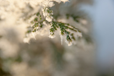 Similar image 21966095