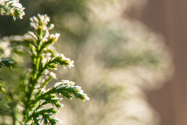 Similar image 21966096