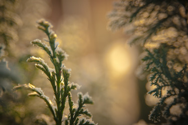 Similar image 21966097