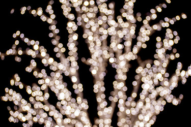 Similar image 21966098