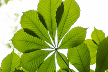 Similar image 21966101