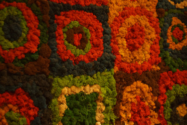 Similar image 21965834