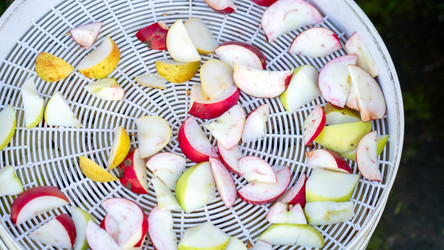 Similar image 21972379