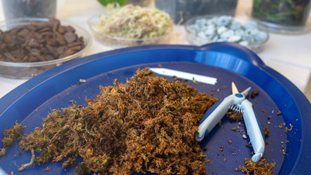 Similar image 21972423