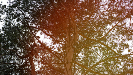 Similar image 21972127