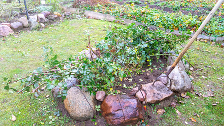 Similar image 21972130