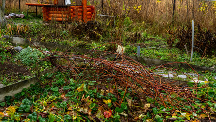 Similar image 21972132