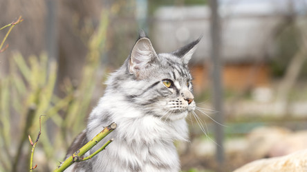 Similar image 21972136