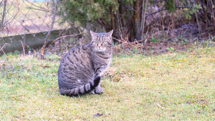 Similar image 21972140