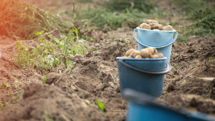 Similar image 21972143