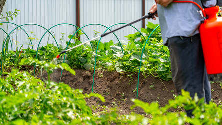 Similar image 21972144