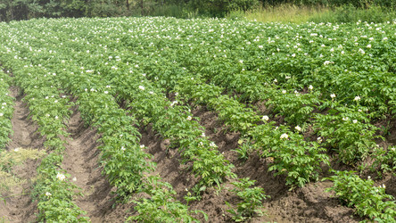 Similar image 21972148