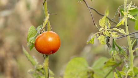 Similar image 21972152