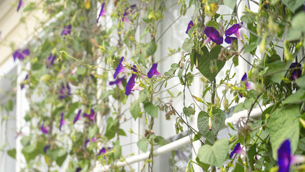 Similar image 21972155