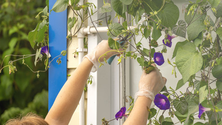 Similar image 21972156