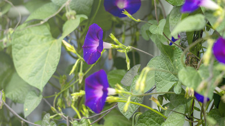 Similar image 21972157