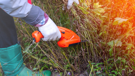 Similar image 21972168