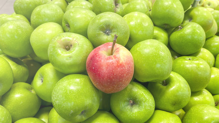 Similar image 21972172