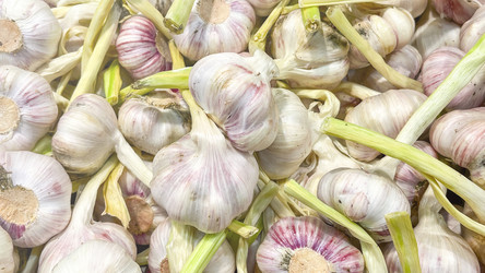 Similar image 21972174