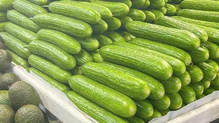 Similar image 21972175