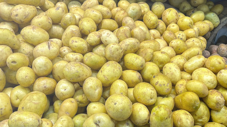 Similar image 21972261