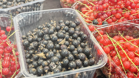 Similar image 21972264