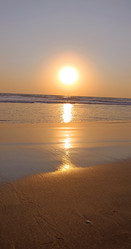 Similar image 21962365