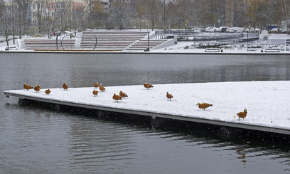 Similar image 21962374