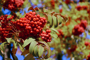 Similar image 21965928