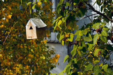 Similar image 21965929